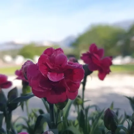 Casa di campagna Refugio Del Cares *