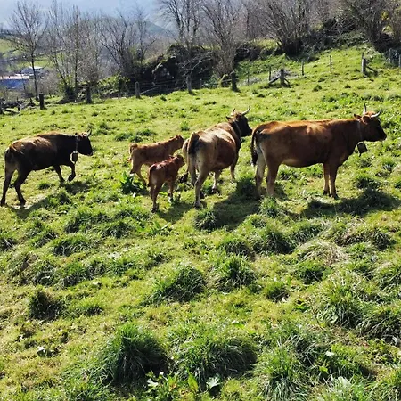 Casa di campagna Refugio Del Cares Ortiguero