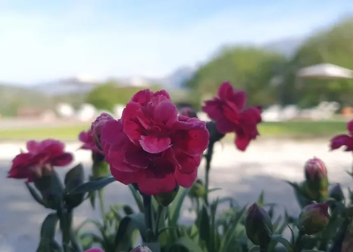 Landhuis Refugio Del Cares *