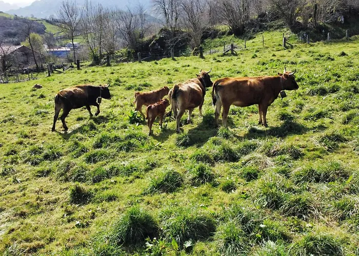 Landhuis Refugio Del Cares Ortiguero
